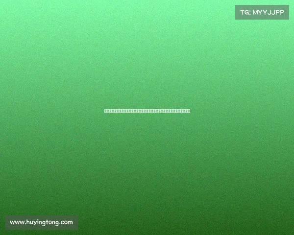 马术赛事策划、深入探讨马术赛事承办关键要素并提出实用优化意见的全面指南