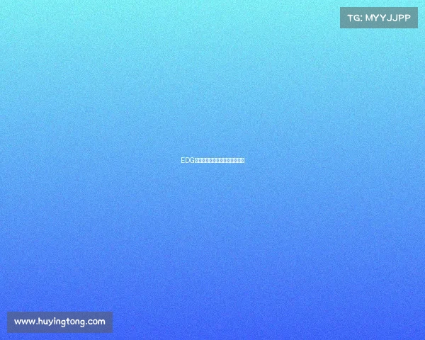 EDG最新赛事战报速递精彩看点回顾