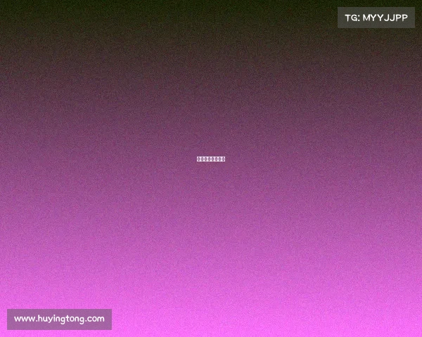 云飞比赛的总决赛