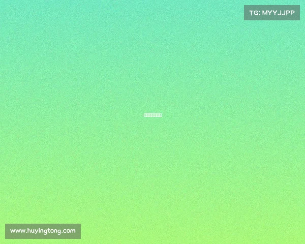 帆船公开赛名称